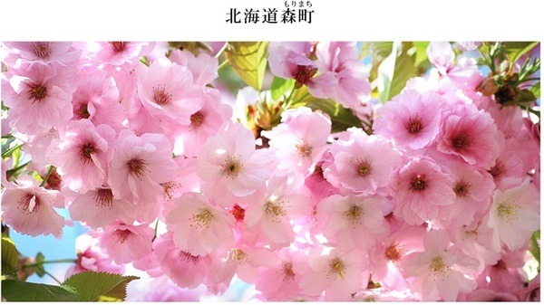 北海道森町