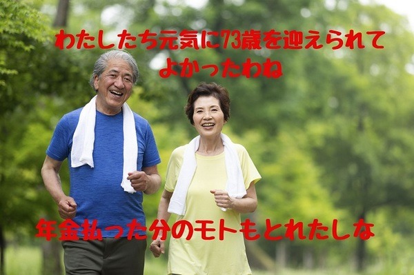 元気な状態で年金のもとが取れた夫婦