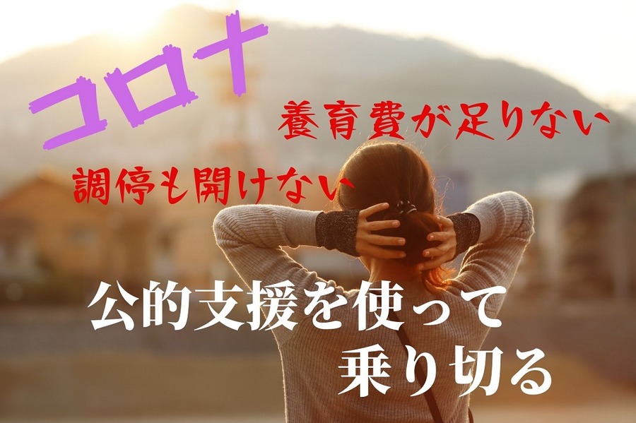 コロナで養育費が足りないとき