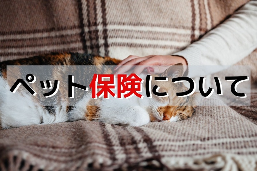ペット保険について