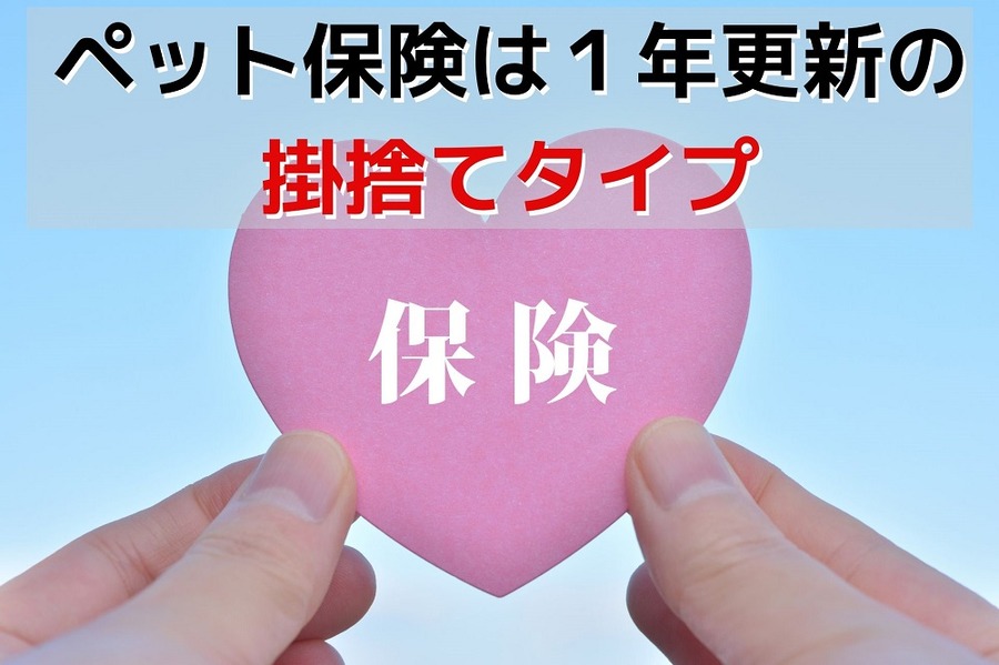 ペット保険は1年更新の掛捨てタイプ