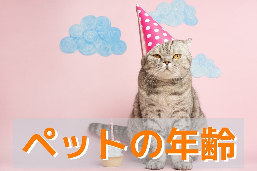 ペットの年齢