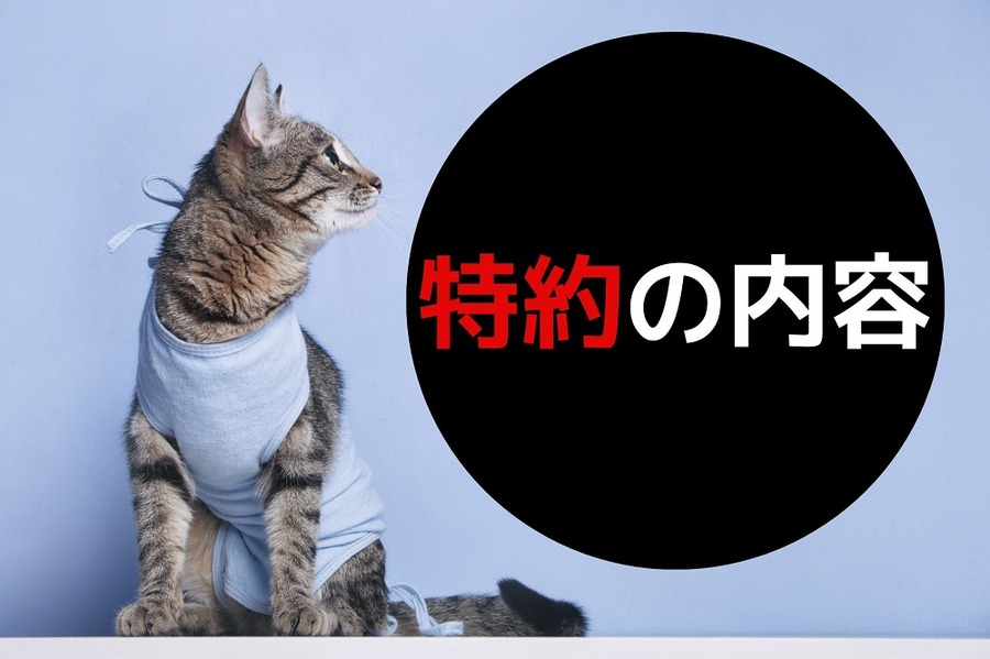 特約の内容