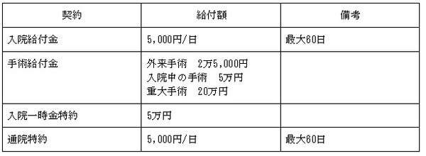 筆者の加入している保険内容