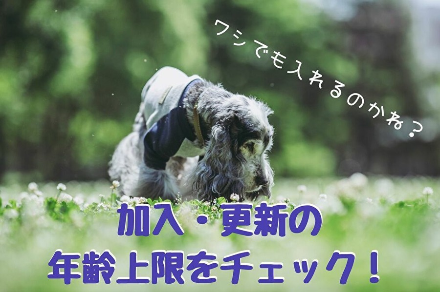 ペット保険加入は年齢が重要