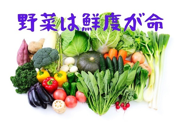 野菜は鮮度が命
