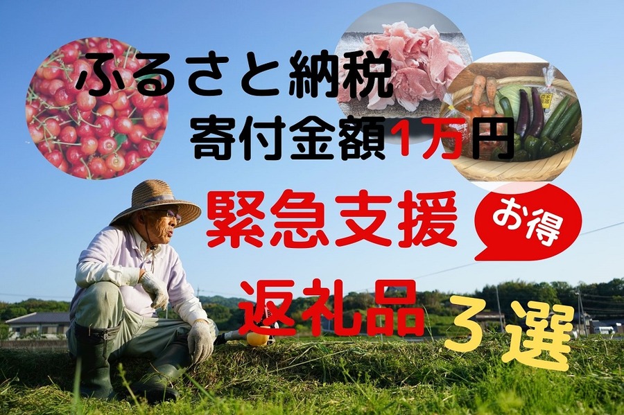ふるさと納税寄付金1万円緊急支援返礼品