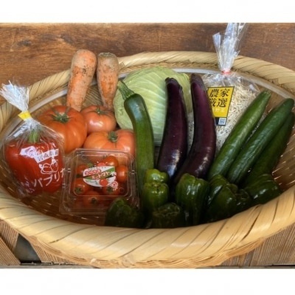宮崎県西都市の季節の野菜詰め合わせセット