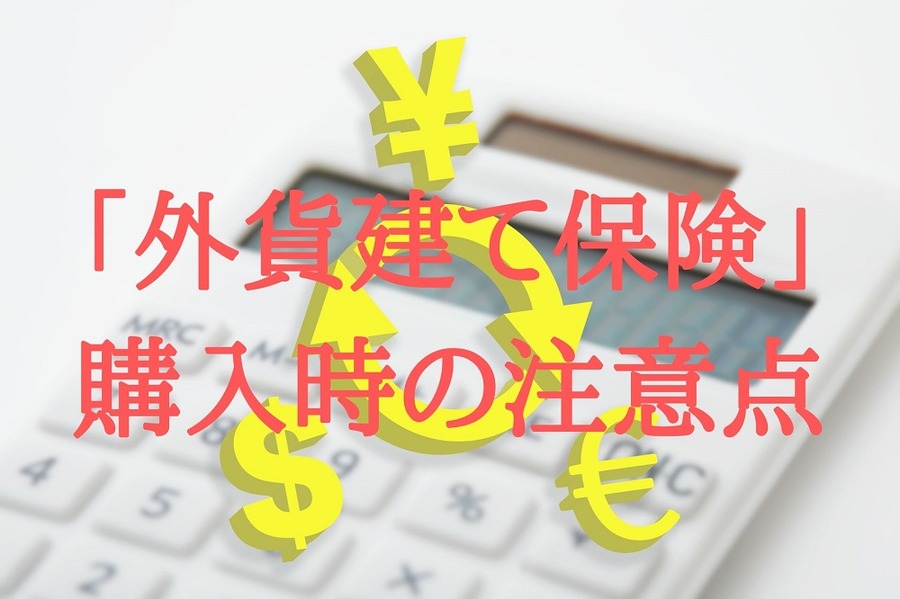 「外貨建て保険」購入時の注意点