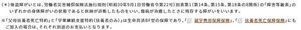 生命共済の保障内容の説明