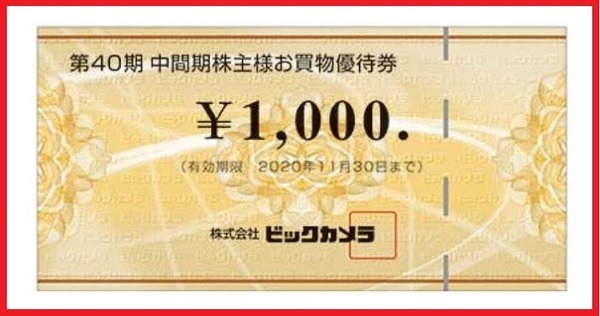 ビックカメラお買物優待券