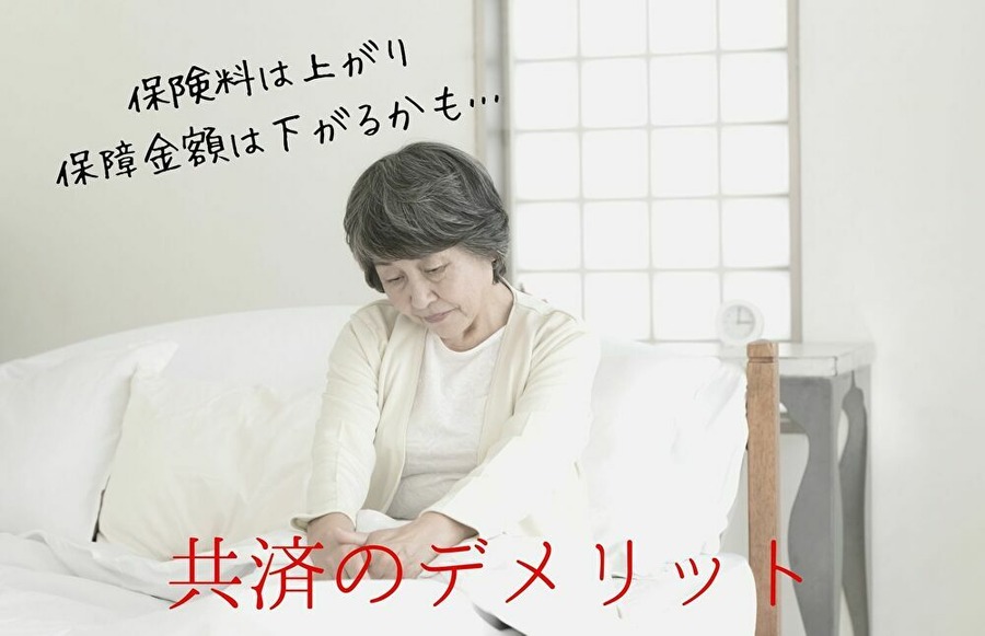 共済のデメリット