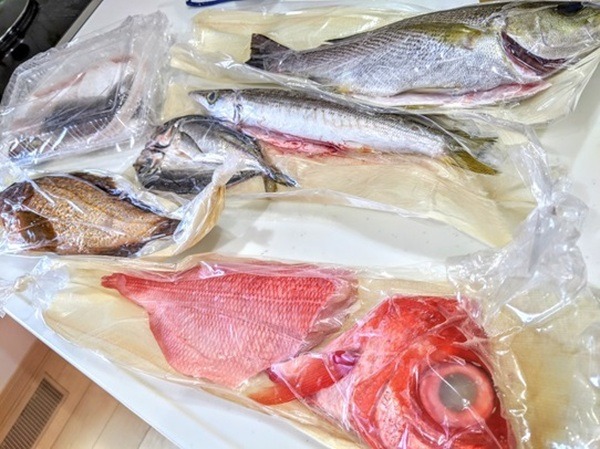 送料無料でこれだけ届きます