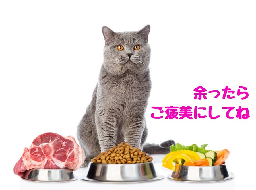 余ったらご褒美にしてね