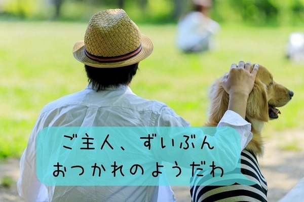 精神障害で療養中の主人を心配する犬