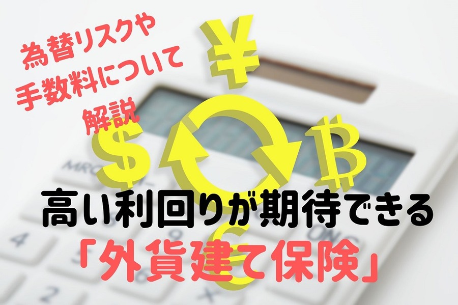 高い利回りが期待できる 外貨建て保険