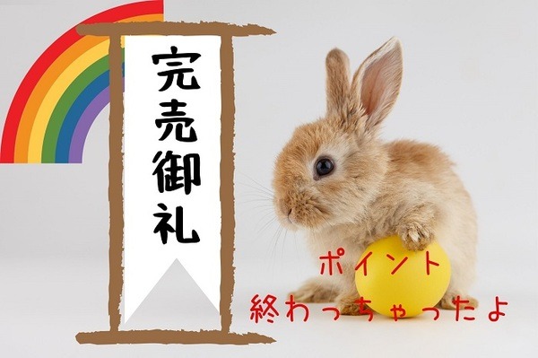 マイナポイントの予算が終了