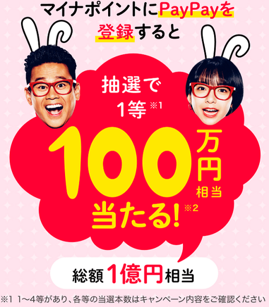 ペイペイのマイナポイント特典
