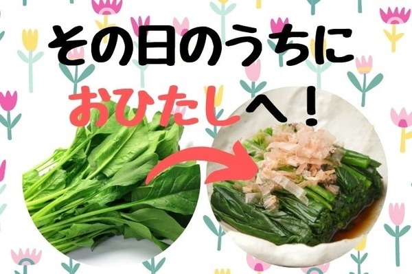 ほうれん草はおひたしにして保存