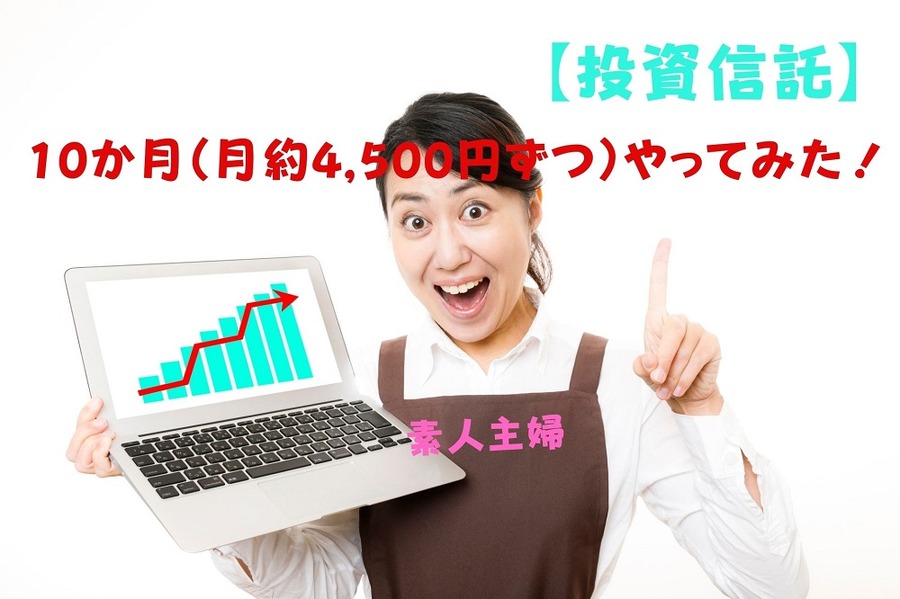素人主婦が10か月（月約4,500円ずつ）やってみた