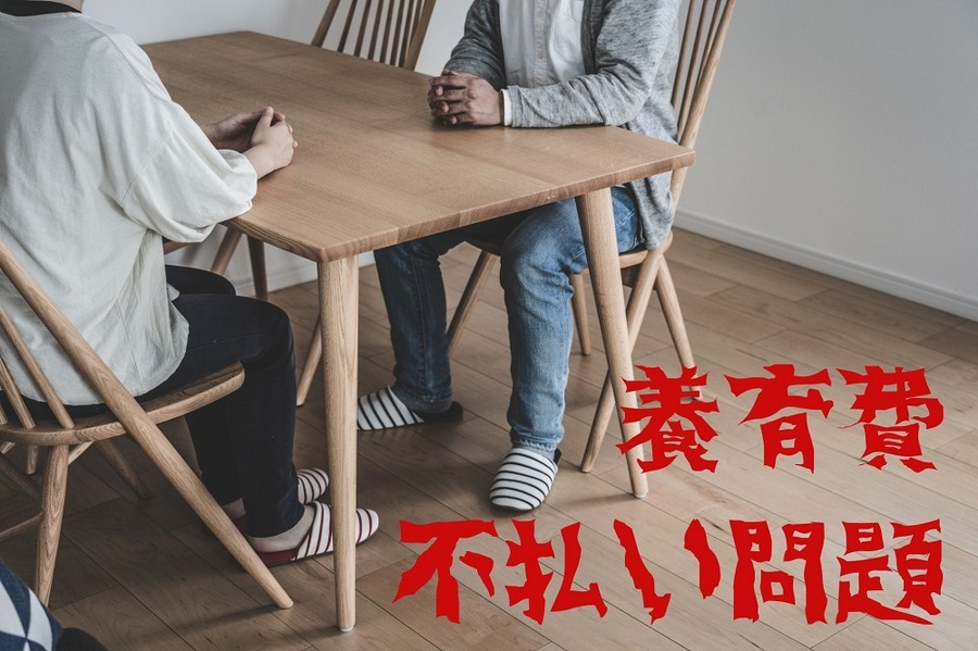 養育費不払い問題