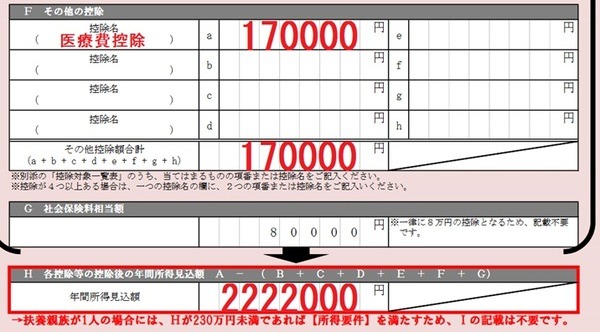 所得控除・所得見込みの記載例