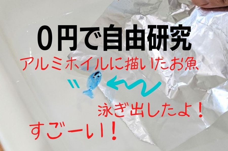 0円で自由研究