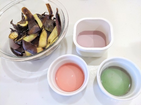 ナスの皮で色水実験