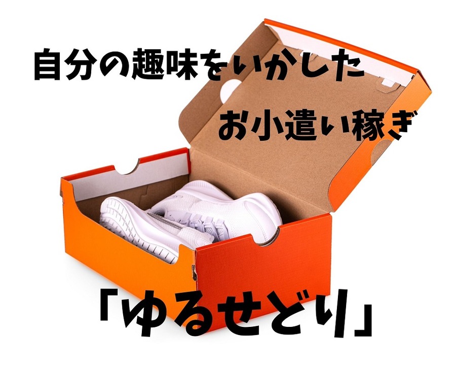 自分の趣味をいかしたゆるせどり