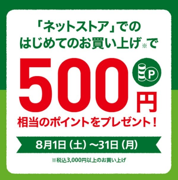 ネットストアで初めて買物すると500ポイントもらえます