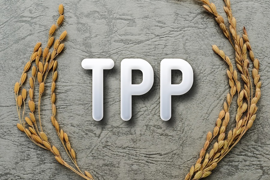 TPP大筋合意、これからの日本社会（雇用）はこう変わる