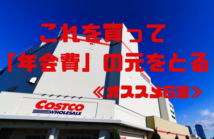 これを買って 「年会費」の元をとる