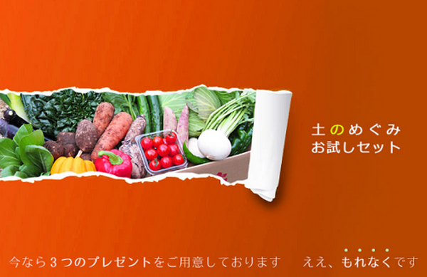 土のめぐみセットで野菜がお得
