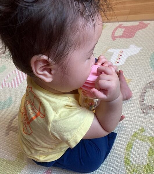 気に入ったおもちゃが最高級