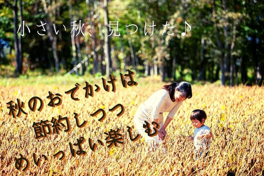 秋のおでかけを楽しもう