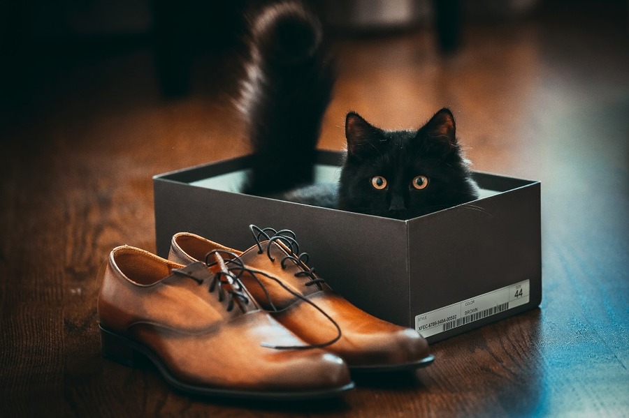 くろねこで送る方がお得