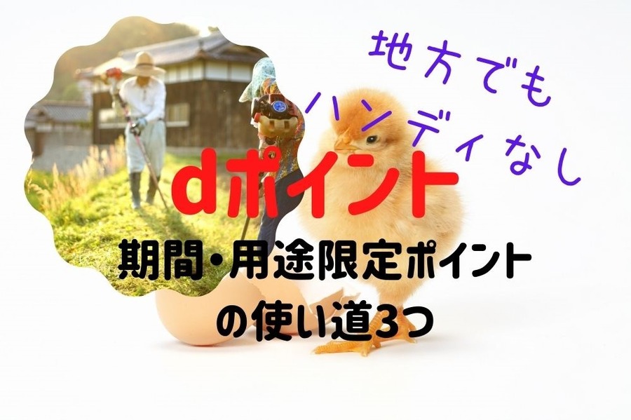 dポイントの期間・用途限定ポイントの使い道