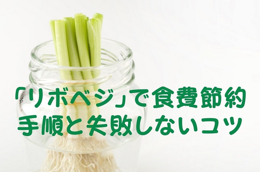 「リボベジ」で食費節約 手順と失敗しないコツ