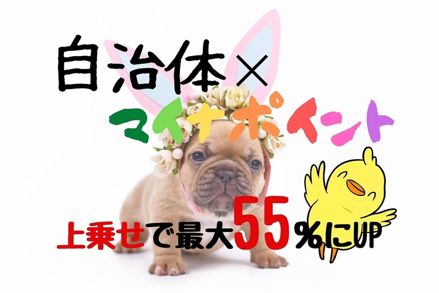 自治体×マイナポイントの上乗せで最大55％還元