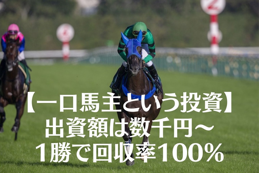 【一口馬主という投資】出資額は数千円～1勝で回収率100％