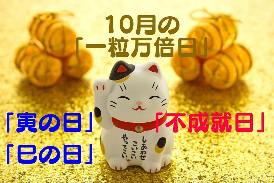 10月の「一粒万倍日」「寅の日」「巳の日」
