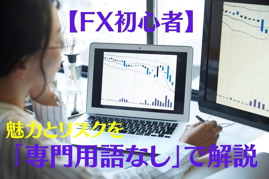 FX初心者
