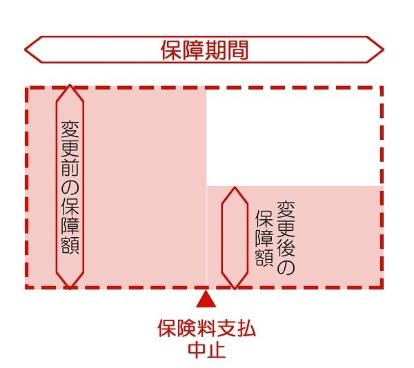 払い済み保険の概念図