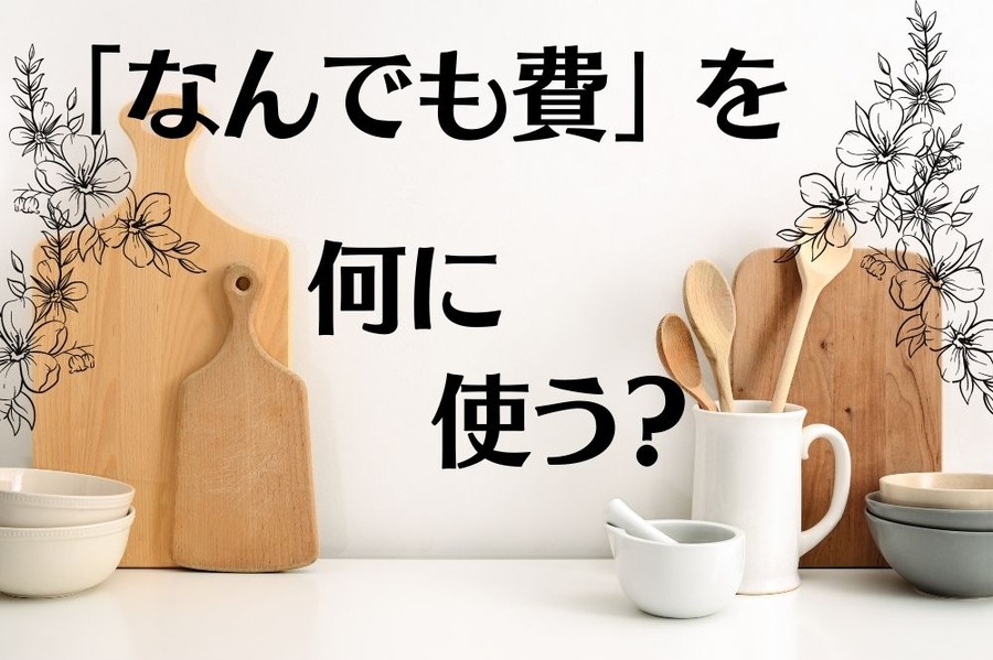 「なんでも費」 を 何に使う？