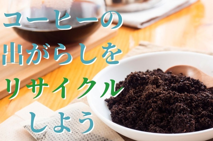 コーヒーの出がらしをリサイクルしよう