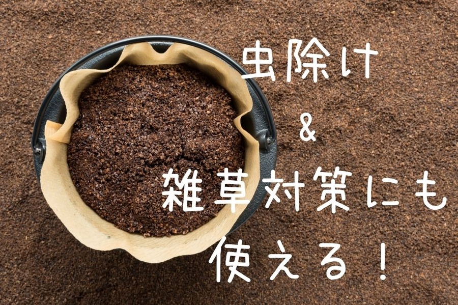 虫除け & 雑草対策にも使える！