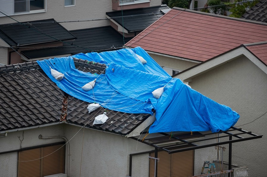 台風のリスク