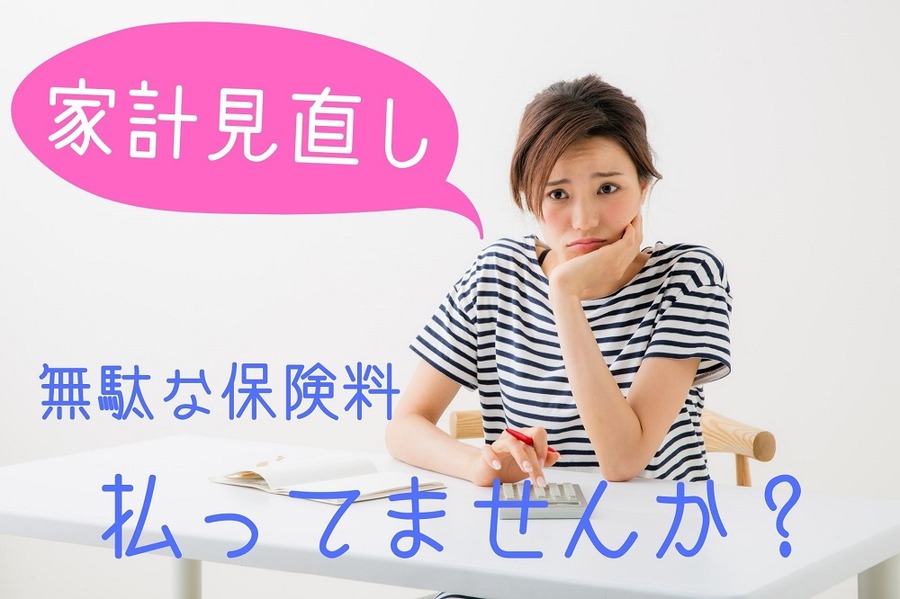 家計見直し
