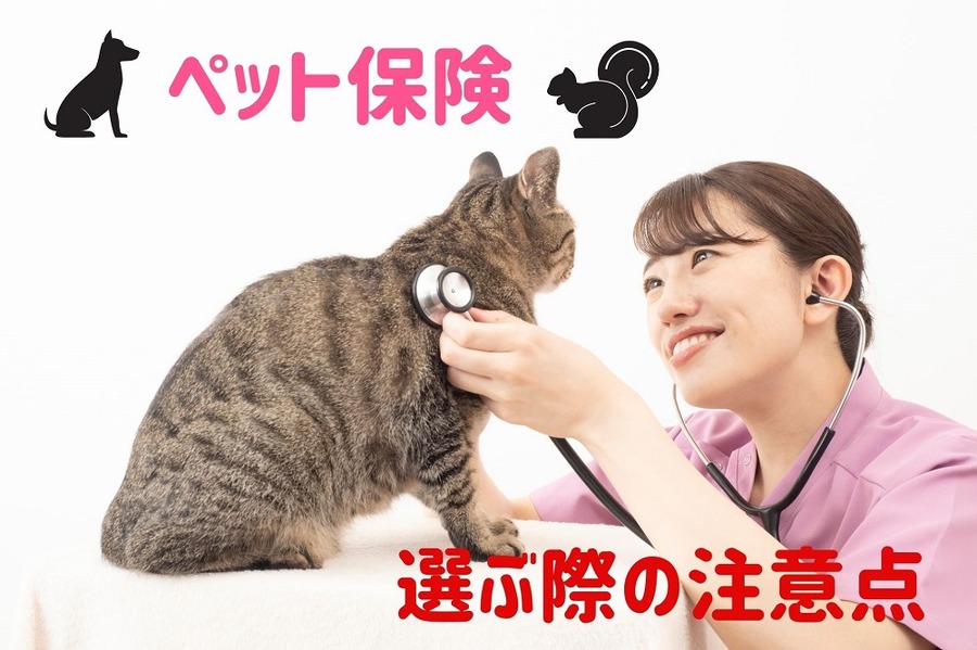 ペット保険選ぶ際の注意点