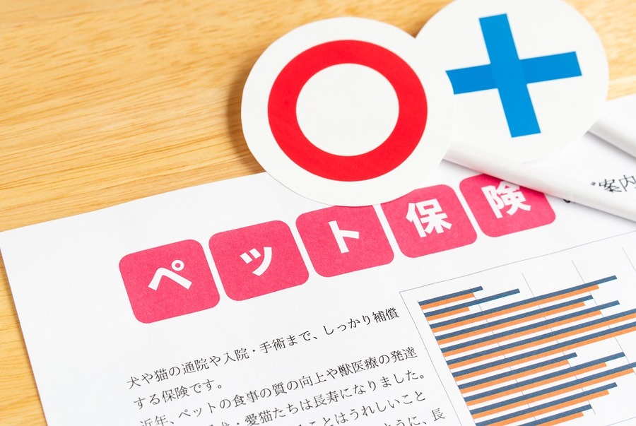 ペット保険の加入条件